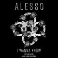 I Wanna Know (Alesso & Deniz Koyu Remix)