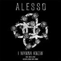 I Wanna Know (Alesso & Deniz Koyu Remix)