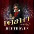 Perfect Beethoven