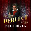 Perfect Beethoven专辑