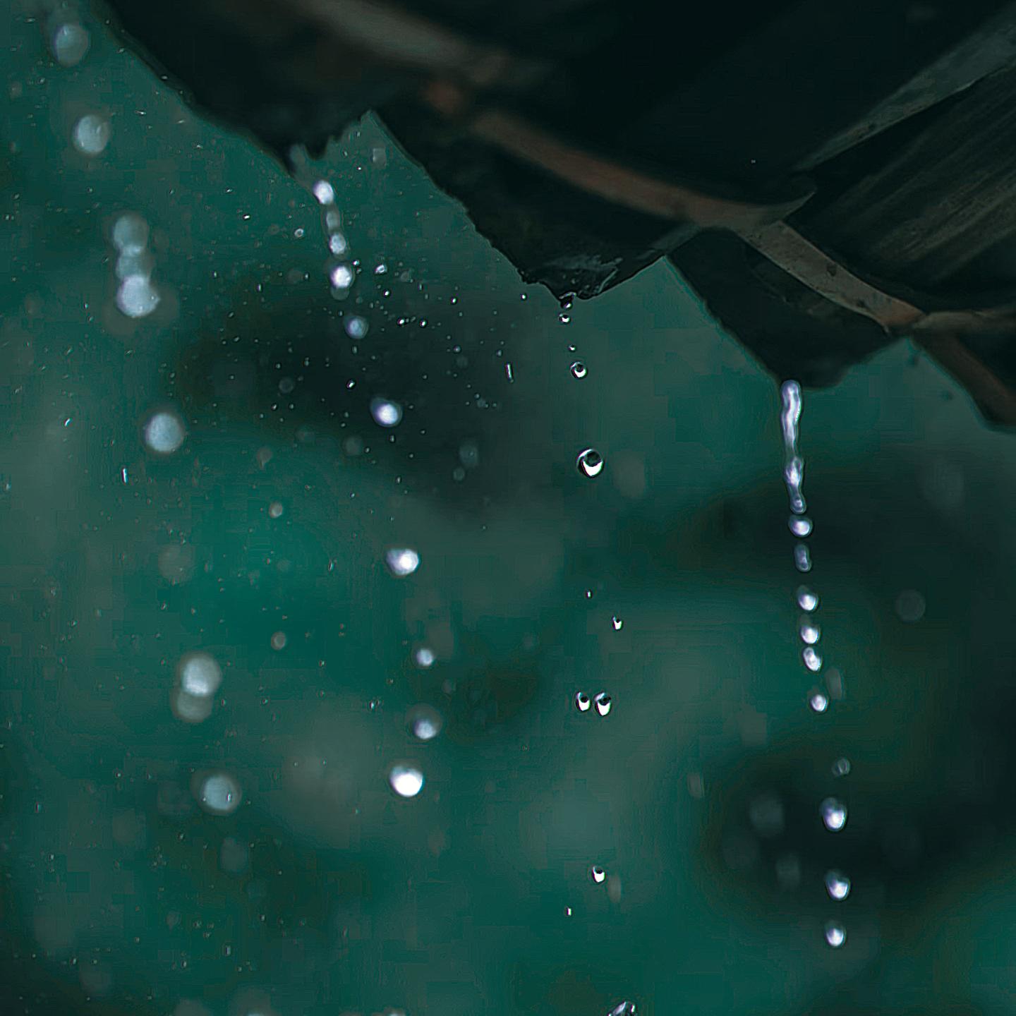 细雨落青山