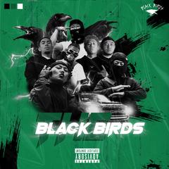 The black birds