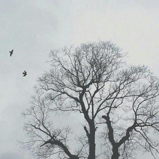 2017年度个人十佳单曲