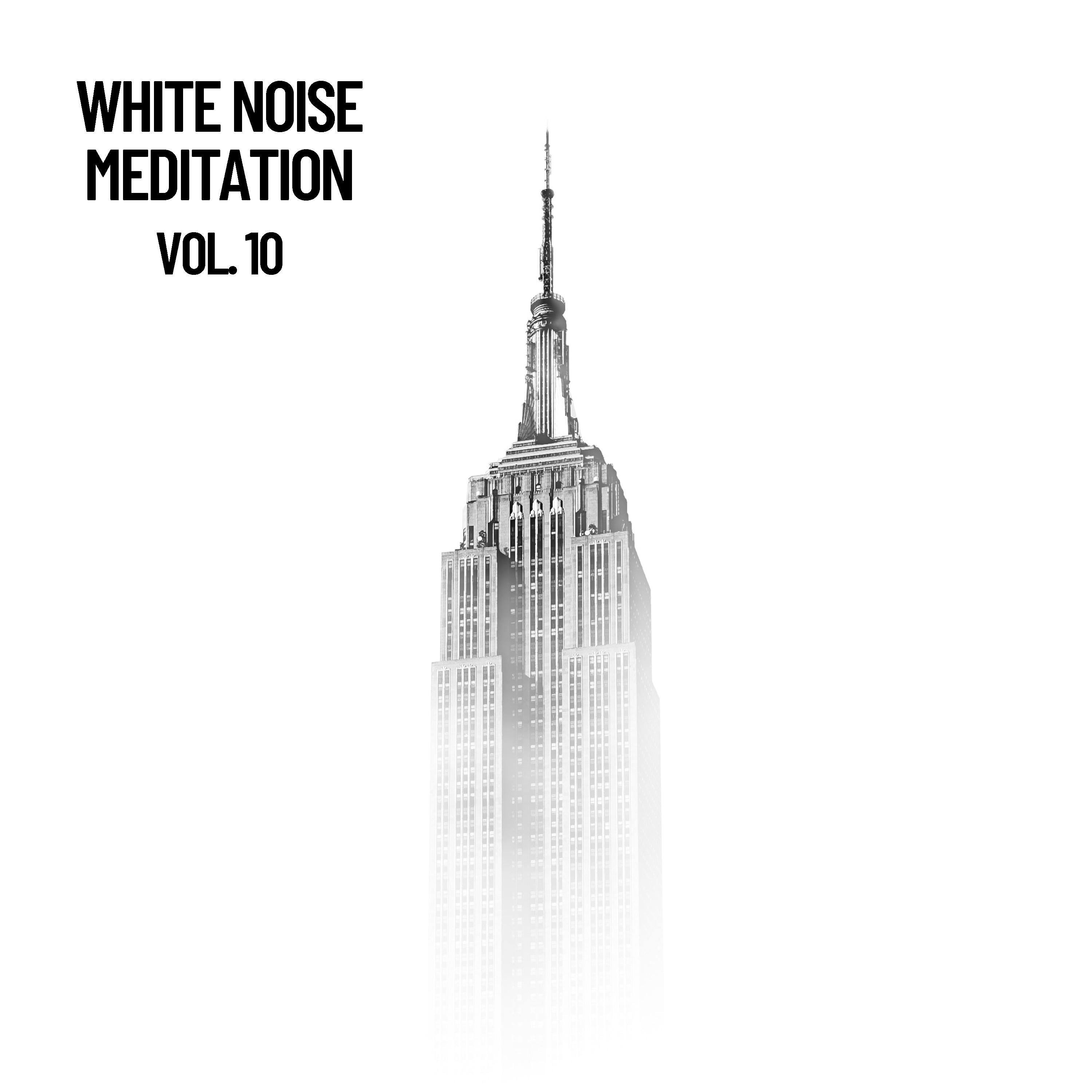White Noise Meditation Vol. 10, The White Noise Zen & Meditation Sound Lab
