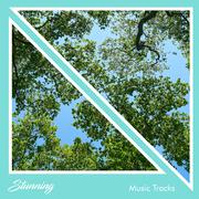 #11 Stunning Music Tracks for Meditation and Yoga