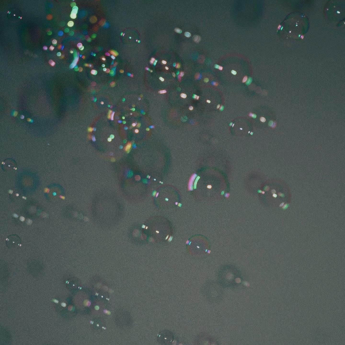 白鸽乌鸦相爱的戏码只会出现在童话