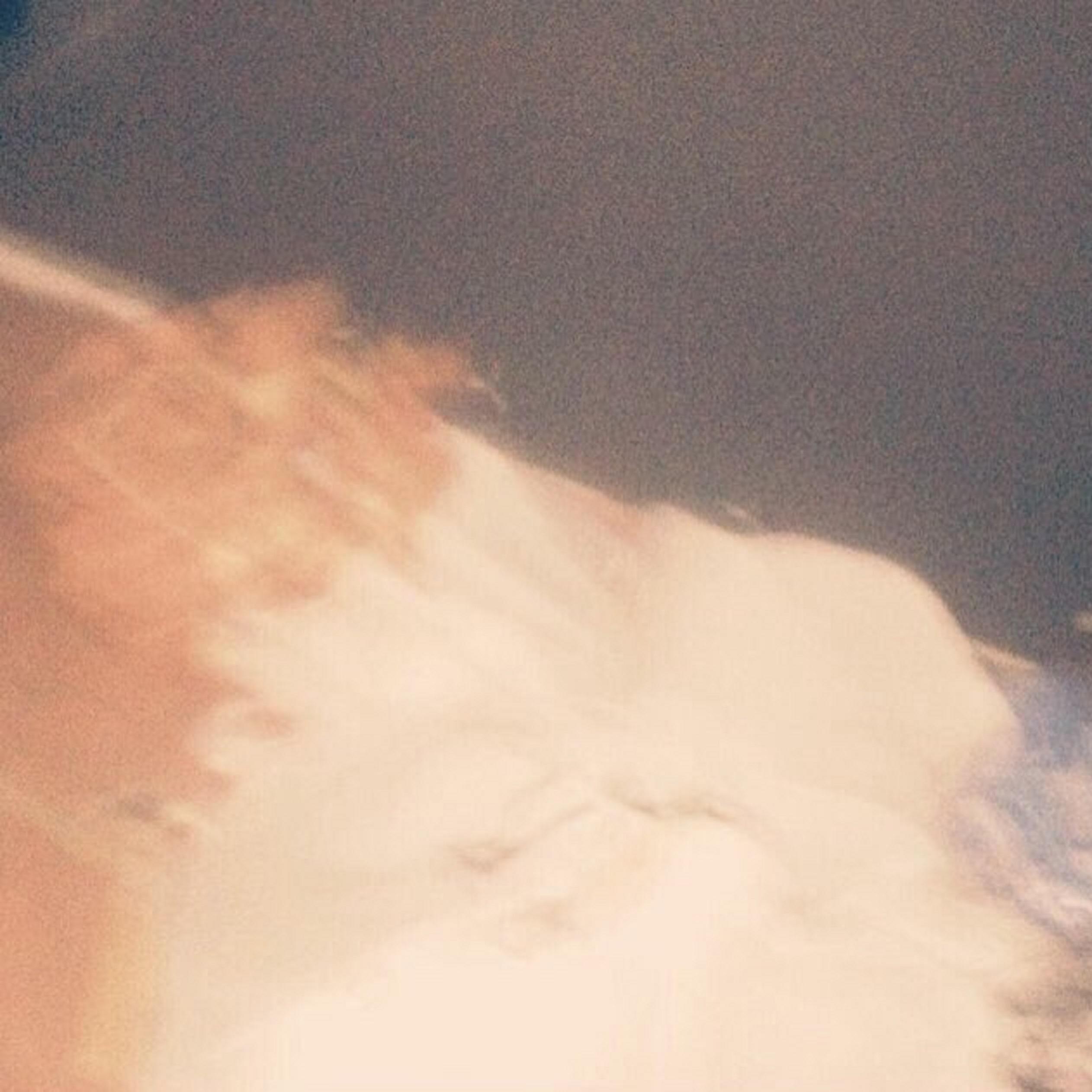Faceless
