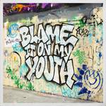 Blame It On My Youth专辑