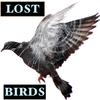 Lost Bird - Disconnect