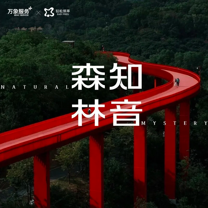 森林之音