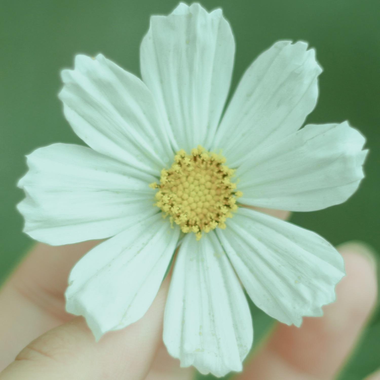 Hope