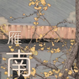 雁南