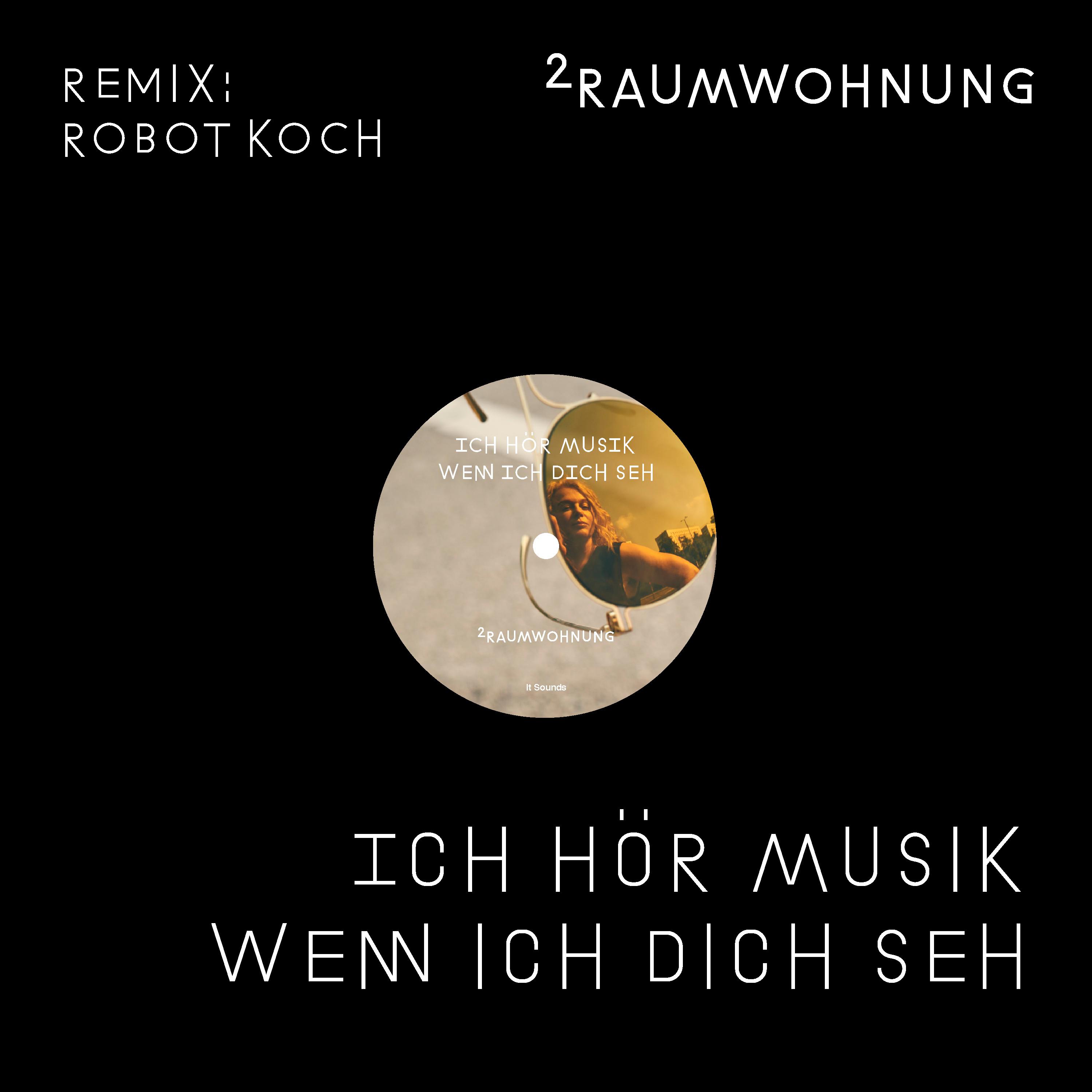 Ich hör Musik wenn ich dich seh (Robot Koch Remix Radio Edit)专辑