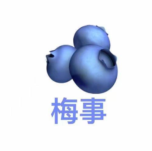 我要上宝大