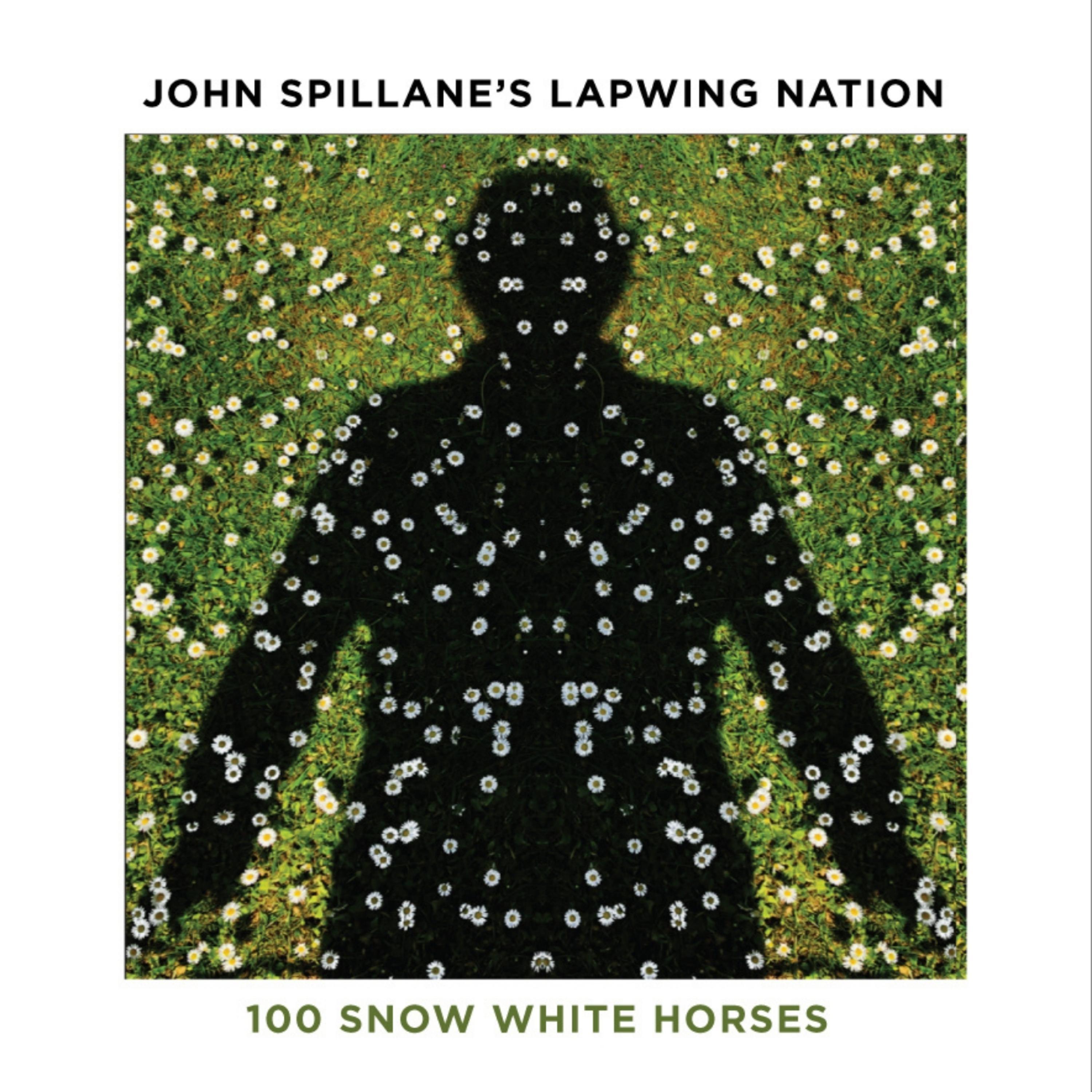 100 Snow White Horses