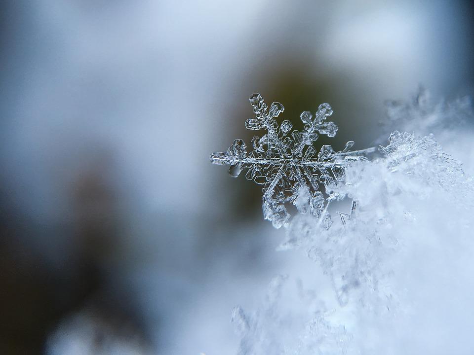 雪之花专辑