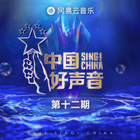 飞鱼 (2022中国好声音) （官方Live） （2022中国好声音）