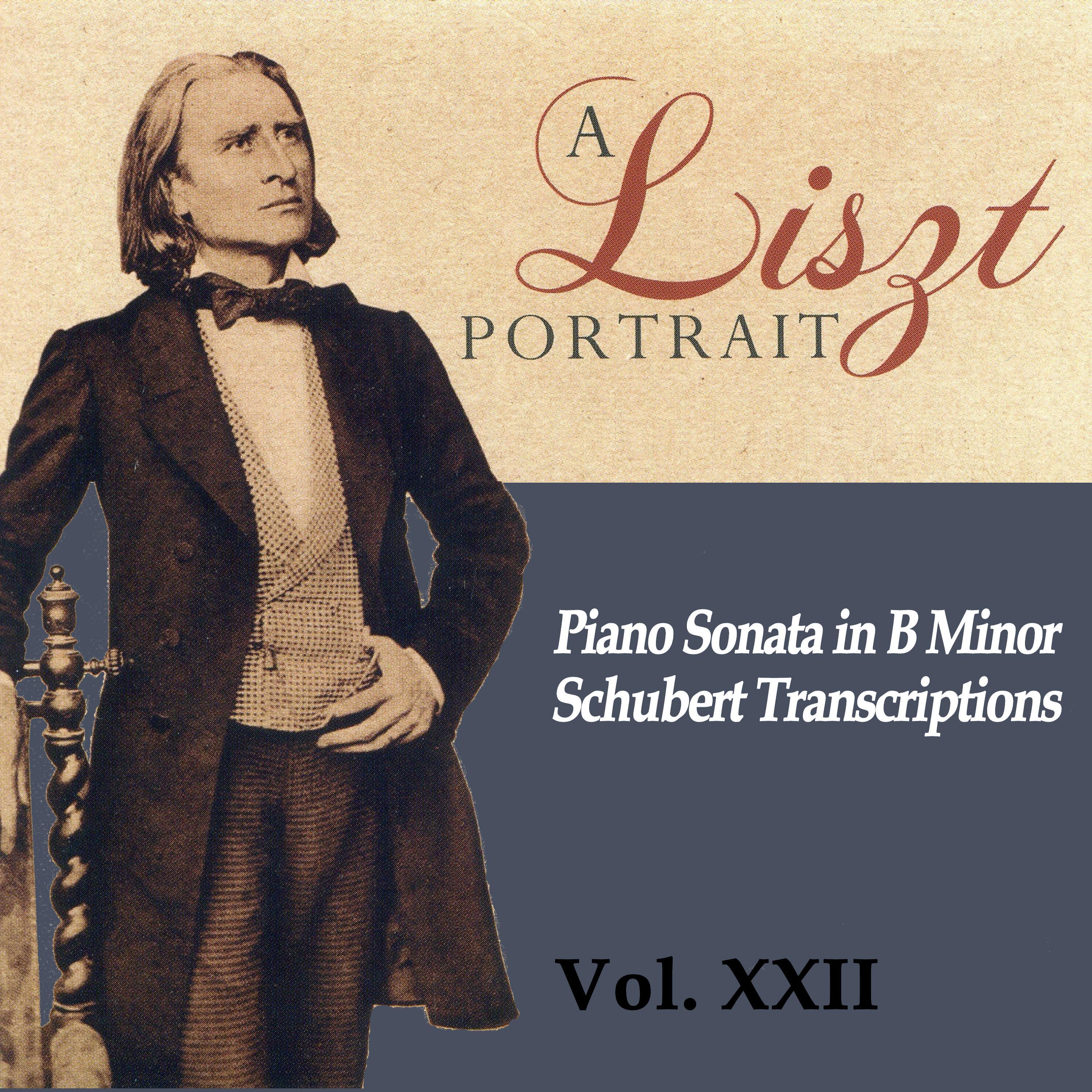 A Liszt Portrait, Vol. XXII