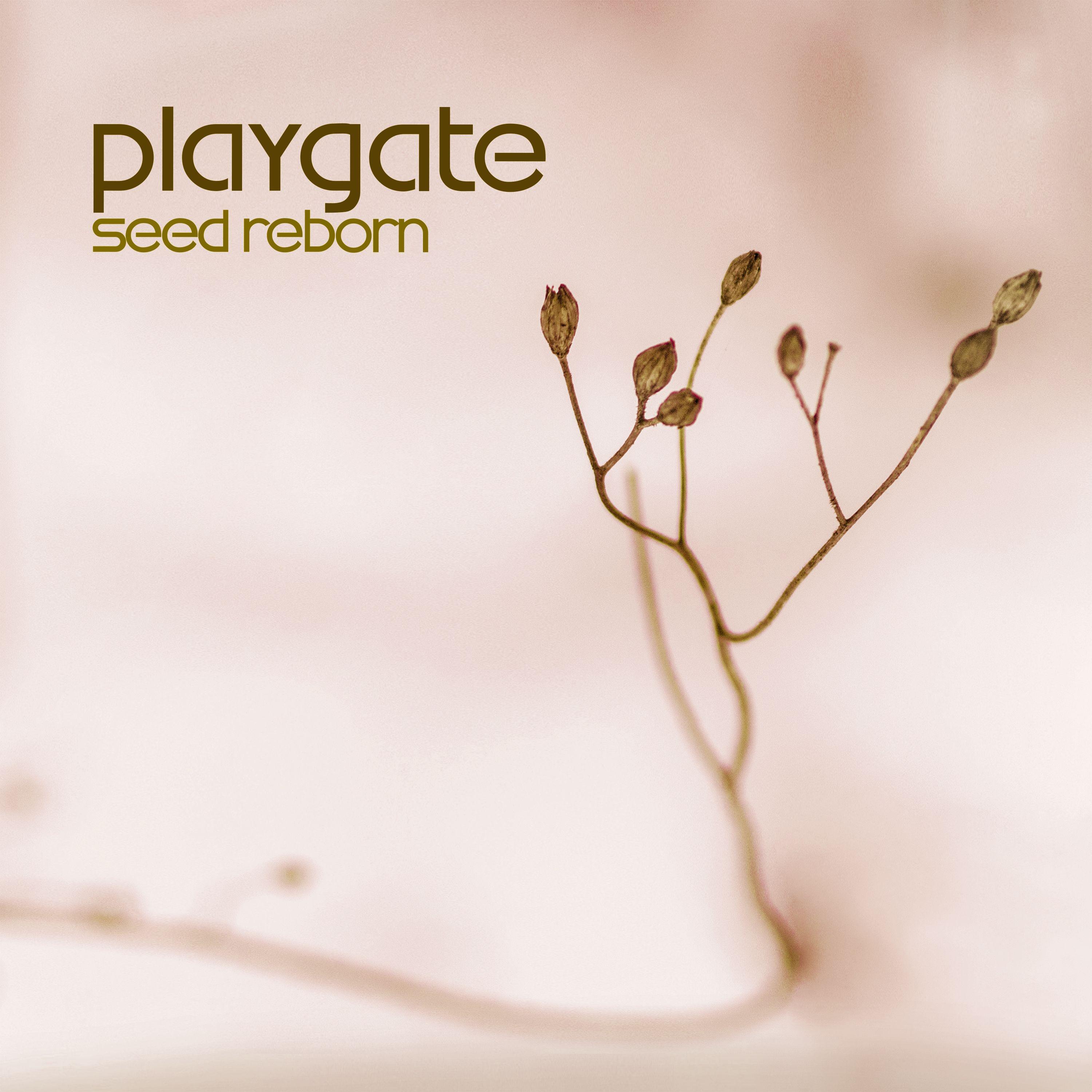 Playgate - Jazz Wake