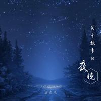 晓枫 - 他乡的夜(原版立体声伴奏)