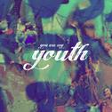 You Are My Youth (feat. DION)专辑