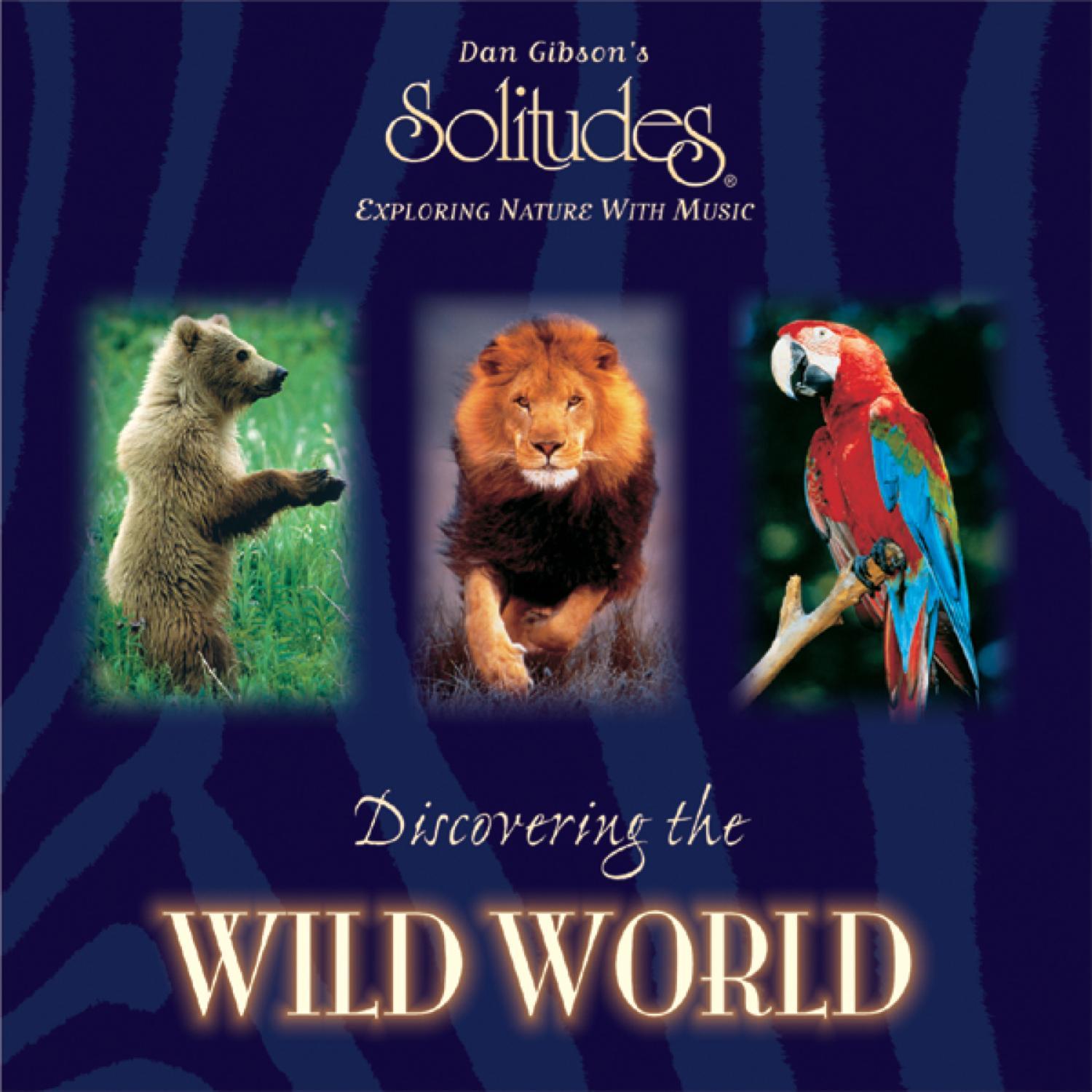 Discovering the Wild World