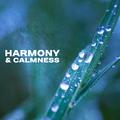 Harmony & Calmness – Deep Meditation, Training Yoga, Chakra, Buddhist Calmness, Nature Sounds