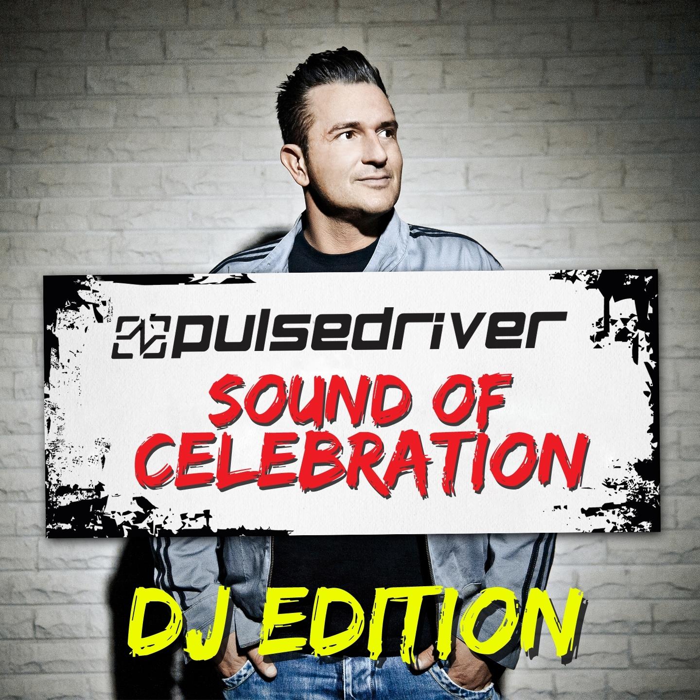 Sound Of Celebration (DJ Edition)