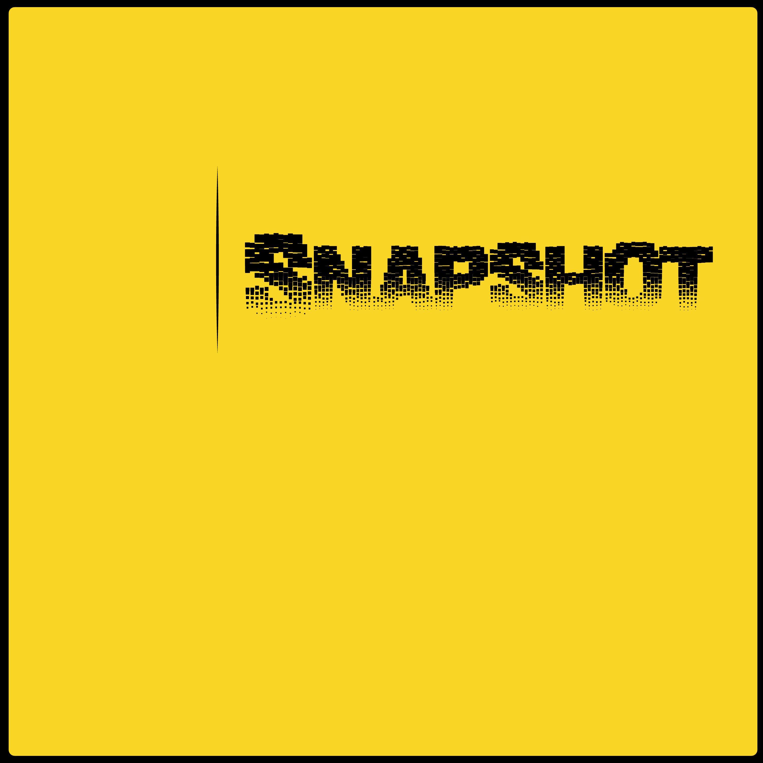 Snapshot