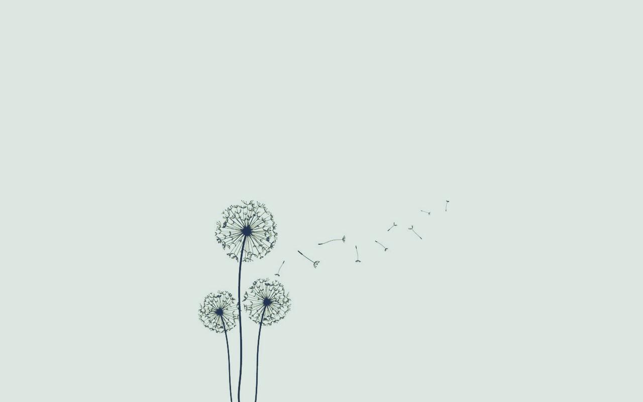 『_Other Languages。』
