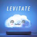 Levitate (tofû remix)专辑