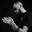 Ali_Exclusive