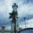 《雨》