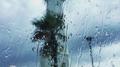 《雨》专辑