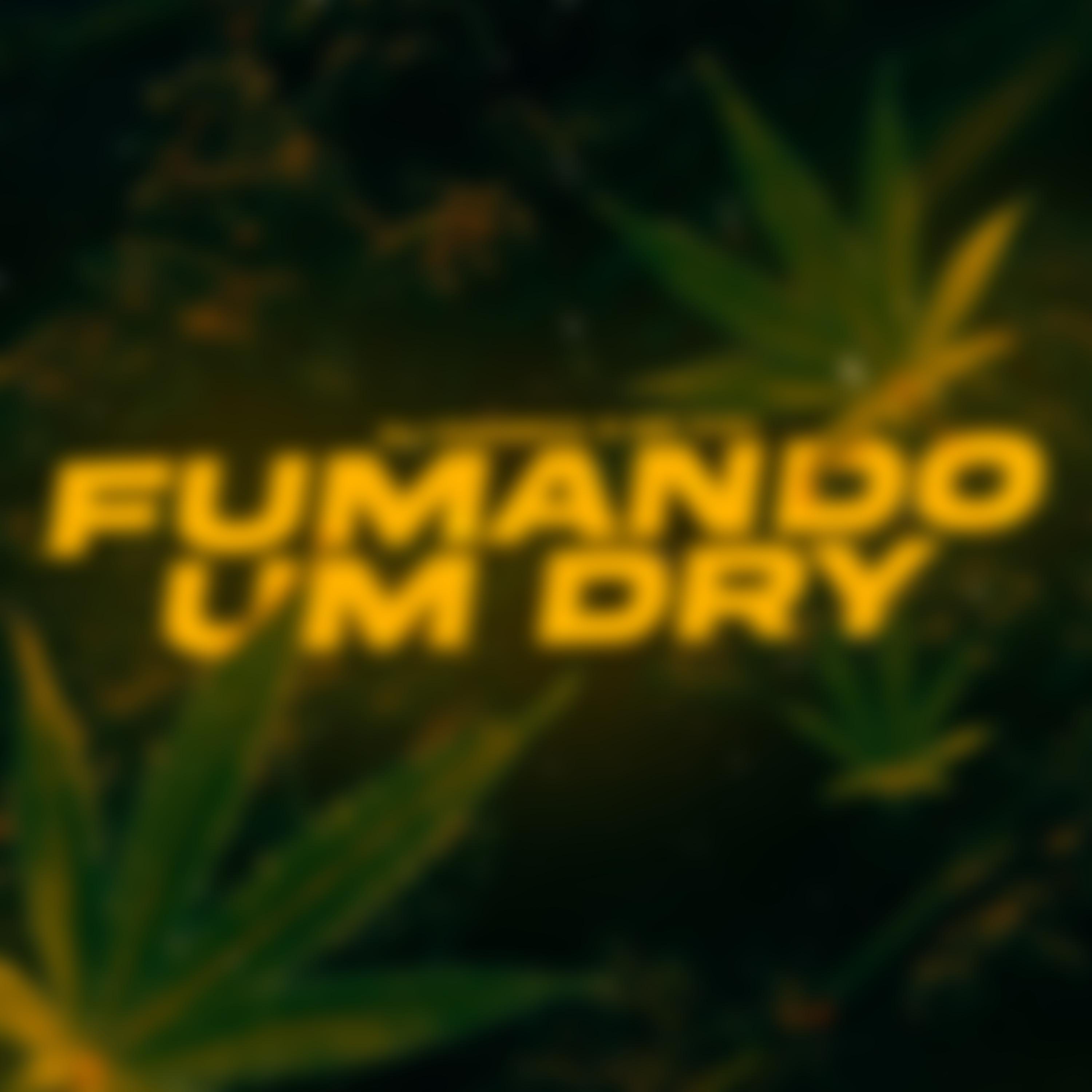 DJ Fonseca - Fumando um Dry