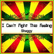 I Can't Fight This Feeling (Ringtone)