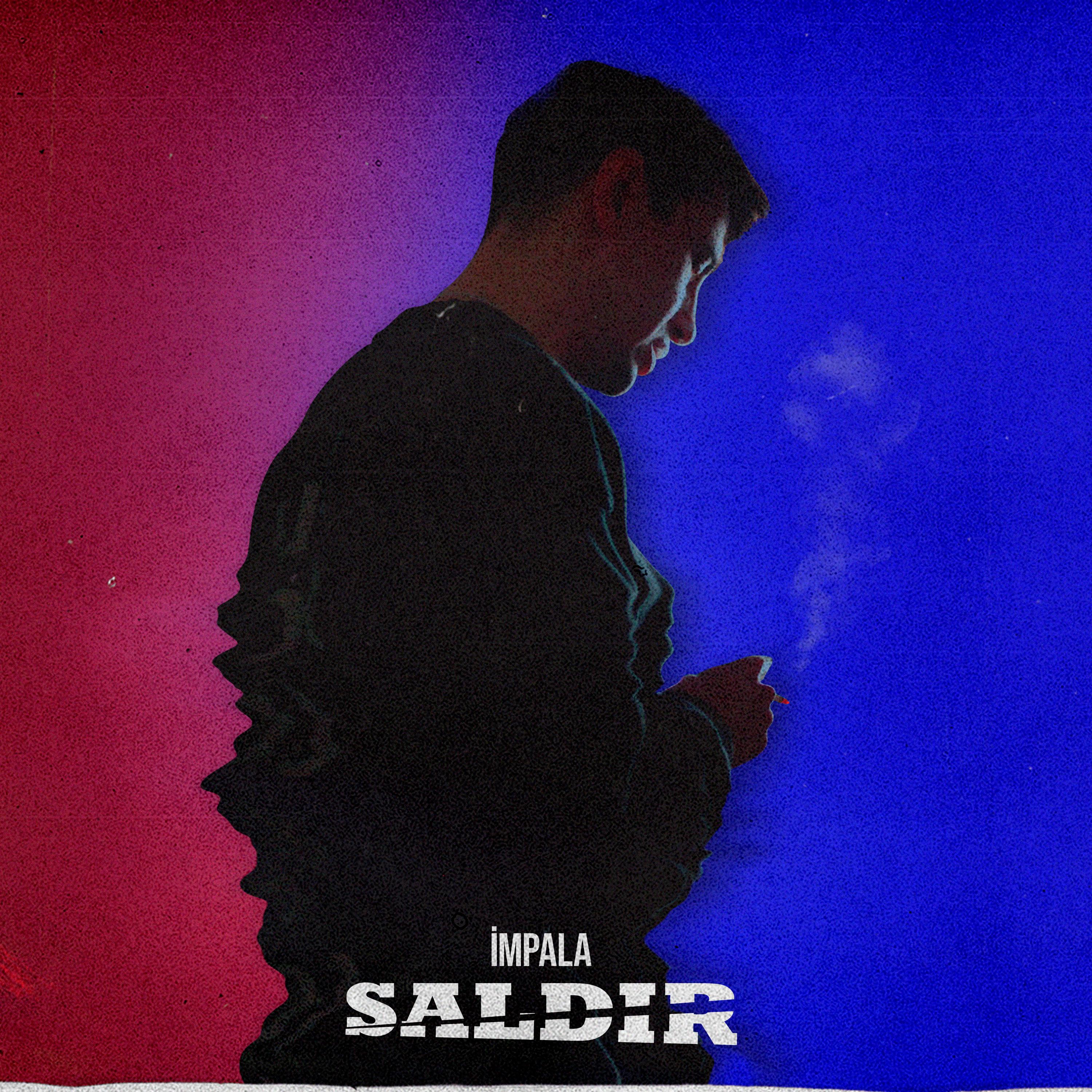 Saldır