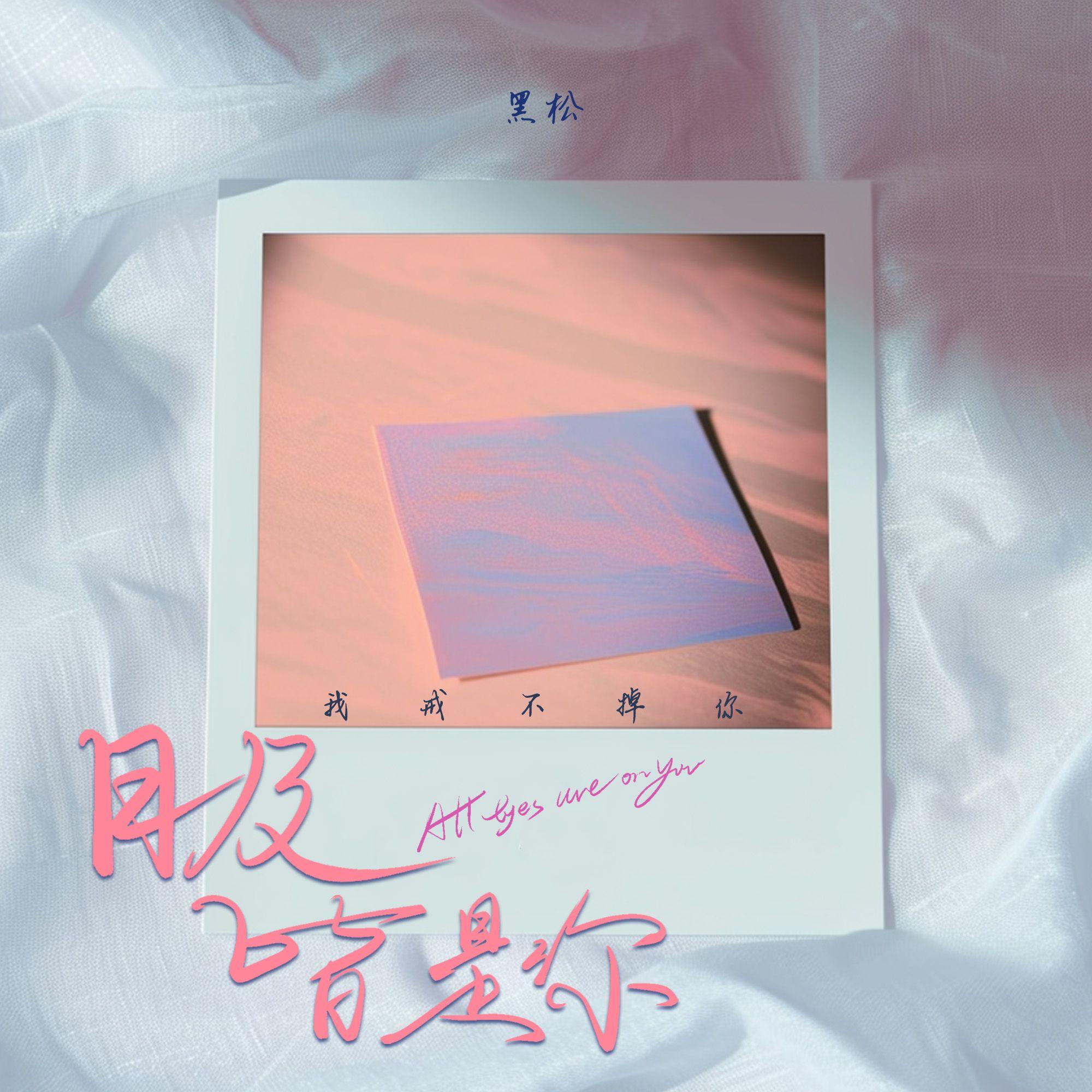 目及皆是你(我戒不掉你)