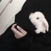 Black专辑