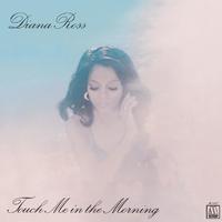 Touch Me In The Morning - Diana Ross (unofficial instrumental)