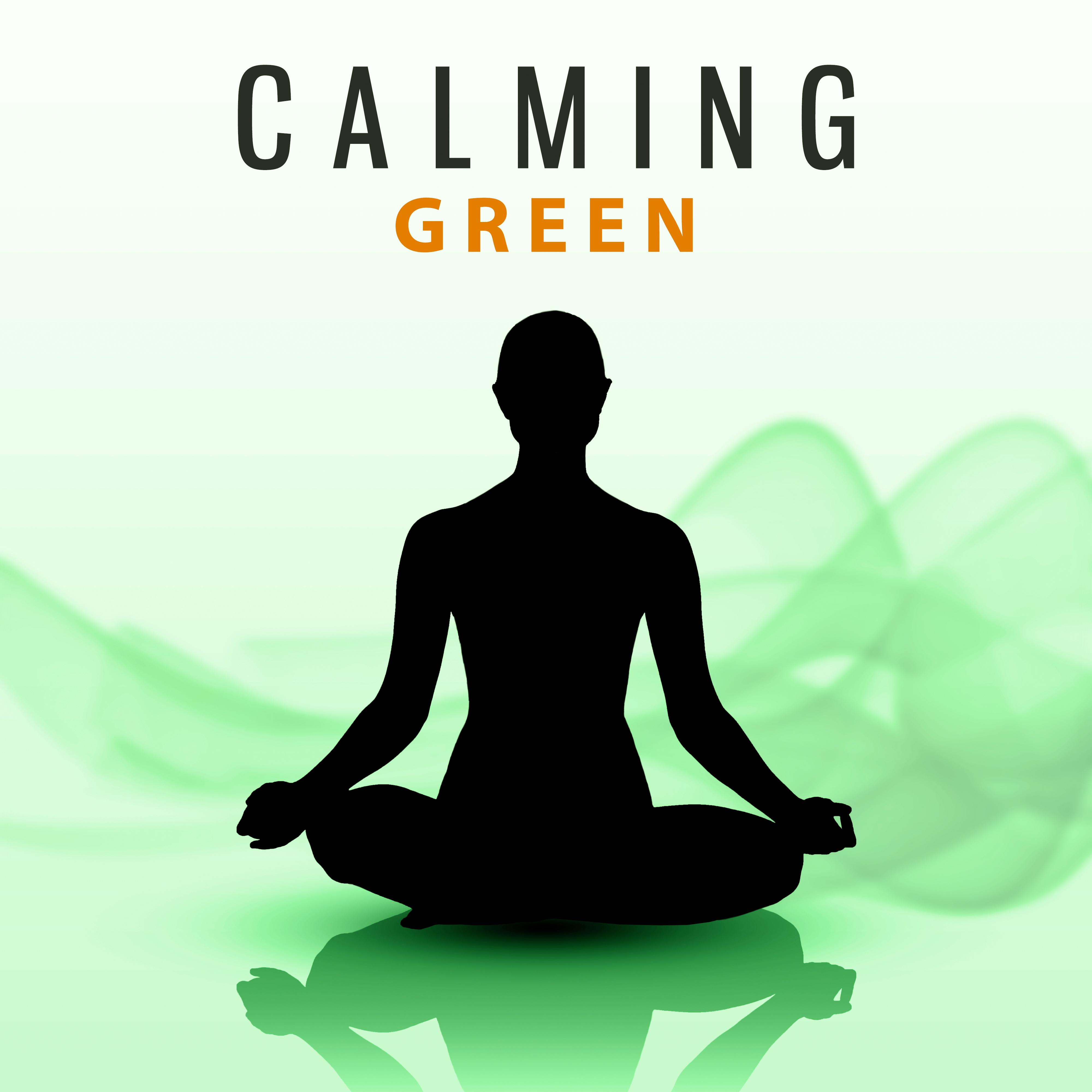 Calming Green - Time to Relax, Moment for Thoughts, Hold your Breath, Off Thinking专辑