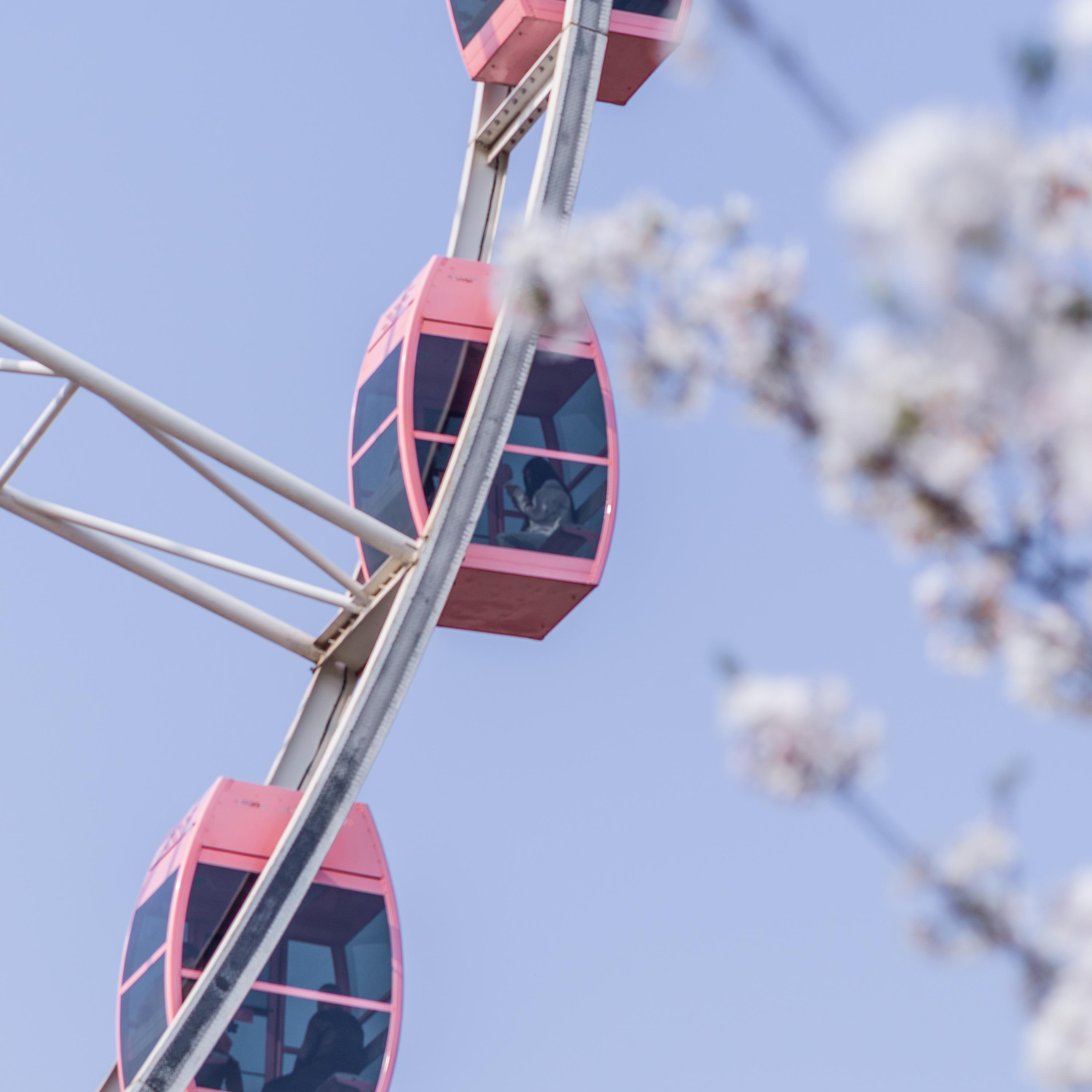 Amusement Park'S Float
