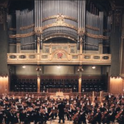 Budapest Symphony Orchestra