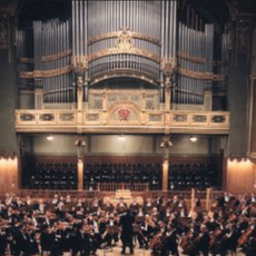 Budapest Symphony Orchestra