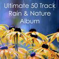 Ultimate 50 Track Rain & Nature Album