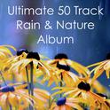 Ultimate 50 Track Rain & Nature Album专辑