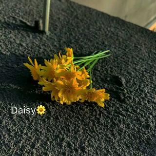 ✨陈小姐™