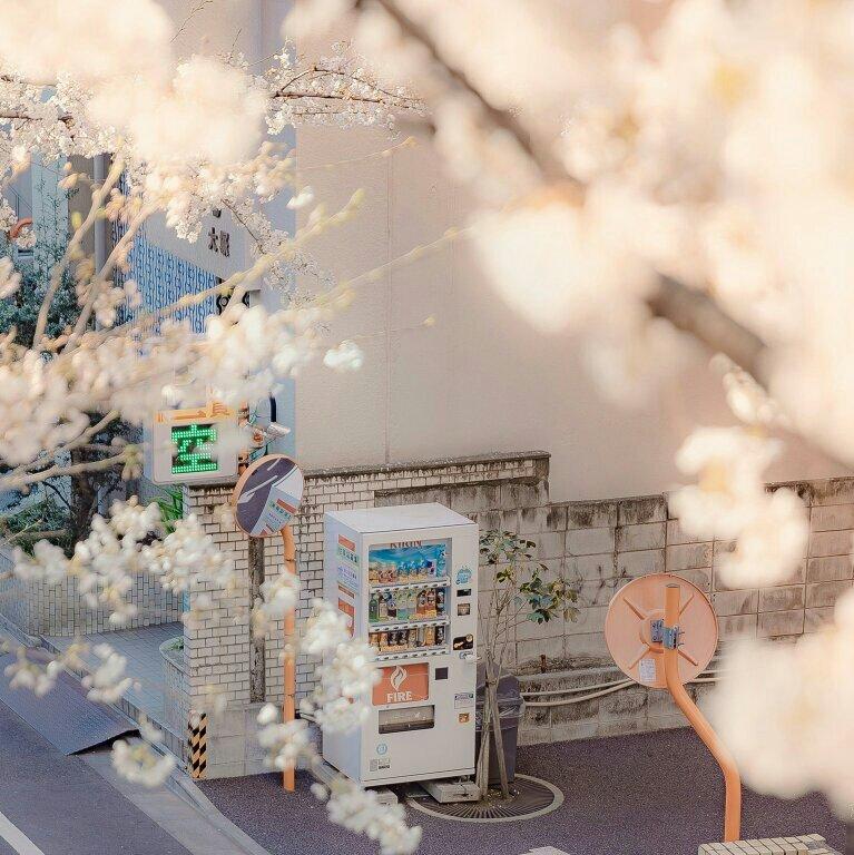 鹤山一中歌单(更新中）
