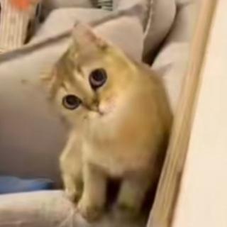 提高学习/工作/睡觉质量的纯音乐（三）