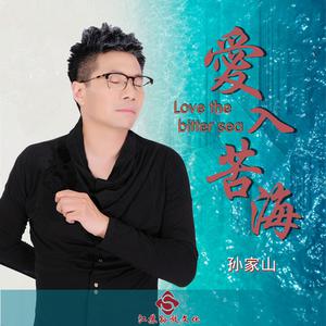 孙家山 - 爱入苦海(DJ阿圣版伴奏) （降2半音）